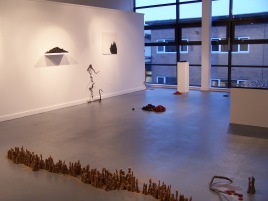 installation view 14, their specific reality 2010