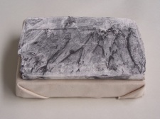 plaster drawing on canvas, Aber 2010